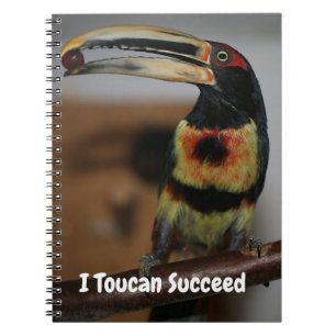 I Toucan Succeed Notebook