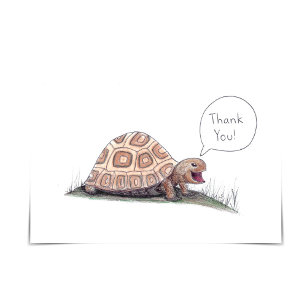 "I Turtley Appreciate It" Turtle Thank You Card