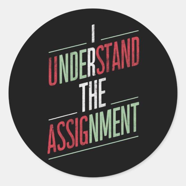 I Understand The Assignment 2024 Classic Round Sticker (Front)
