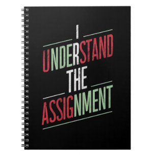I Understand The Assignment 2024 Notebook