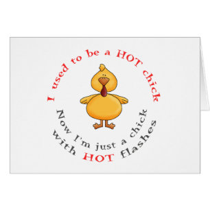 I Used To Be A Hot Chick