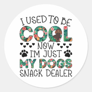 I Used To Be Cool Now I'm Just Gift For Dog Lovers Classic Round Sticker
