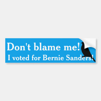 I voted for Bernie! Bumper Sticker