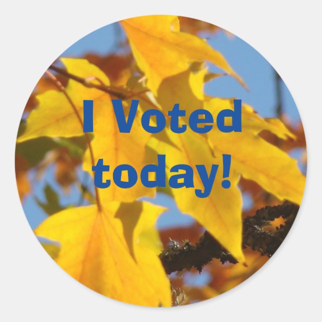 I Voted today! stickers Voting custom stickers (Front)