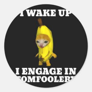 I Wake Up I Engage In Tomfoolery Cat Meme  Classic Round Sticker