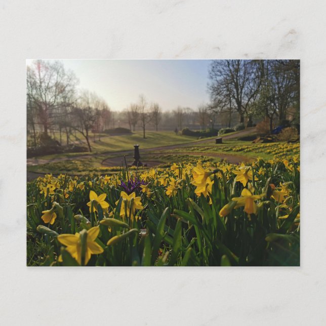 I wandered lonely as a cloud by William Wordsworth Postcard (Front)