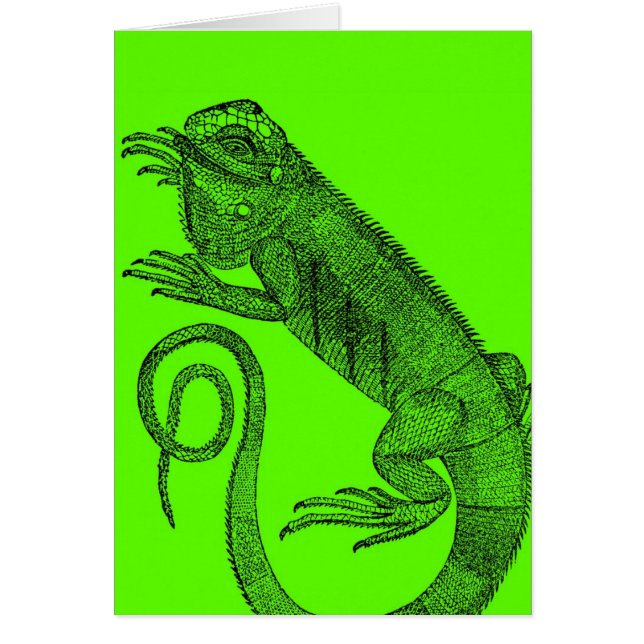 I Wanna Iguana (Front)