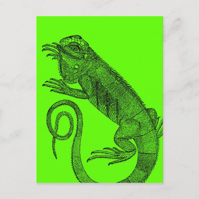 I Wanna Iguana Postcard (Front)
