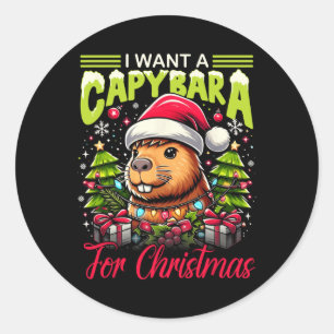 I Want A Capybara For Christmas Pajama Family Matc Classic Round Sticker