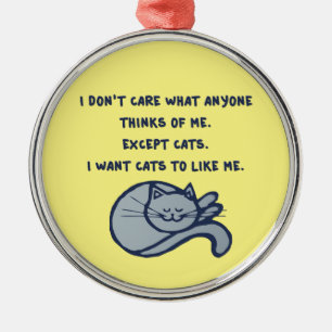 I want Cats to Like Me Metal Ornament