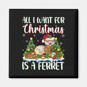 I Want For Christmas Is A Ferret Xmas Tree Lights Magnet