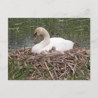 "I Want To Be Just Like Mama" Postcard