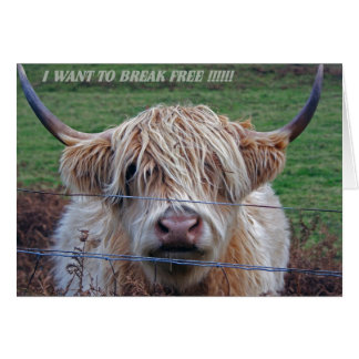 I want to break free