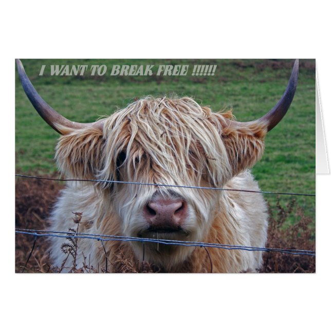 I want to break free (Front Horizontal)