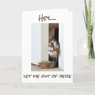 I WANT TO SAY **HAPPY BIRTHDAY** TO "YOU" NOW!!!!! CARD