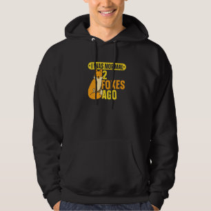 I Was Normal 2 Foxes Ago Fox Hoodie