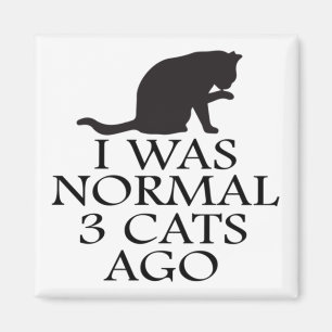 i-was-normal-3-cats-ago--funny-cat magnet