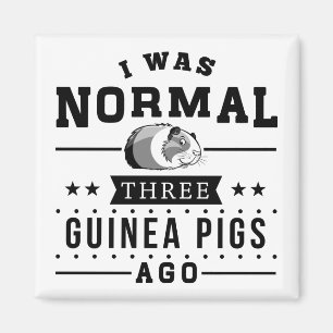 I Was Normal Three Guinea Pigs Ago Magnet
