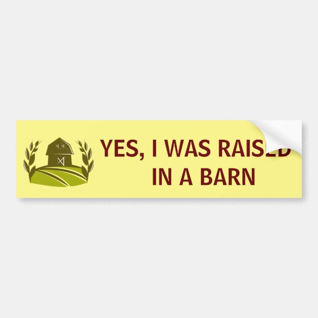 i was raised in a barn yellow bumper sticker (Front)