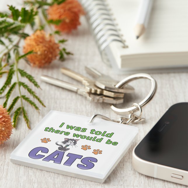 I was told there would be CATS Key Ring (Front Right)