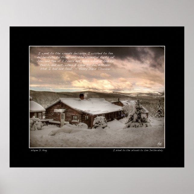 I Went to the Woods, Thoreau Poster (Front)