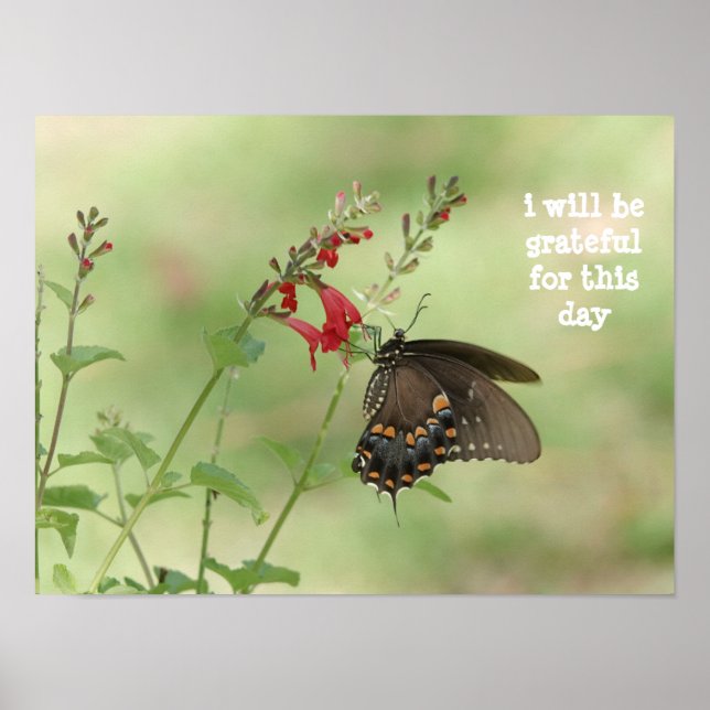 i will be grateful for this day, butterfly poster (Front)