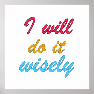 i will do it wisely poster