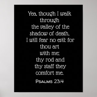 I will fear no evil - Psalms 23:4 Poster