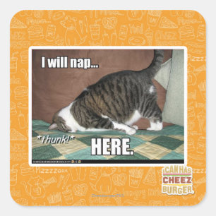 I will nap here square sticker