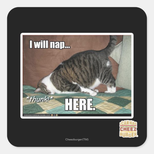 I will nap here square sticker (Front)