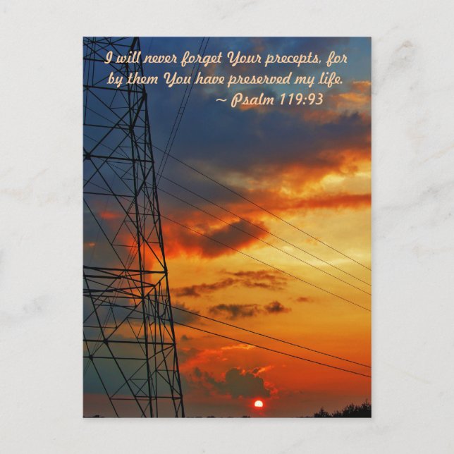 I will never forget your precepts, for by them you postcard (Front)