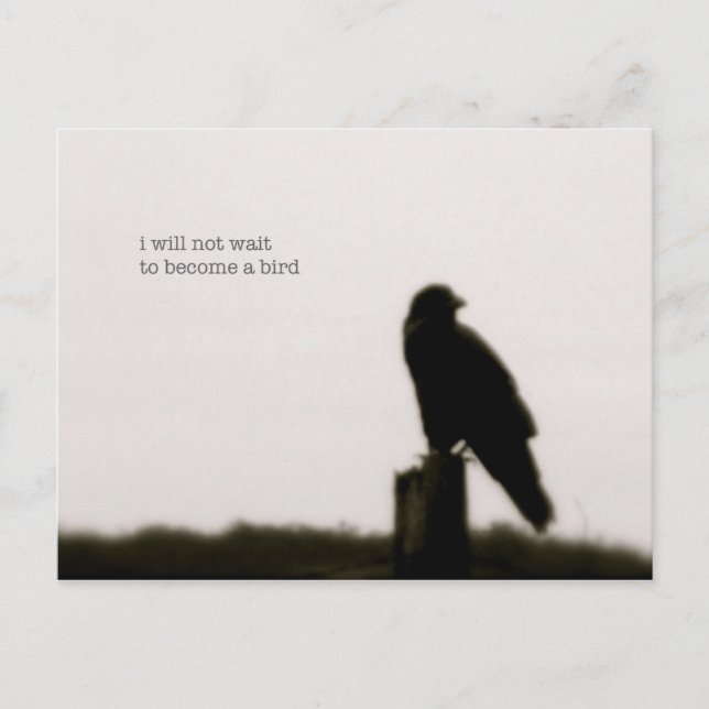 "i will not wait" postcard (Front)