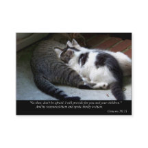 I Will Provide (Cat) Business or Calling Cards