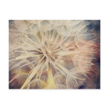 I Wish... - Postcard