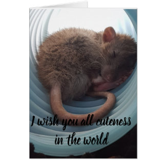 I wish you all cuteness in the world