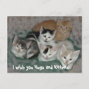 I wish you Hugs and Kittens Postcard