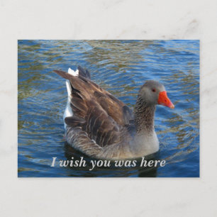 I wish you was here_Postcard_by Elenne Boothe Postcard