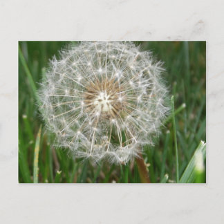 I wish you were here postcard