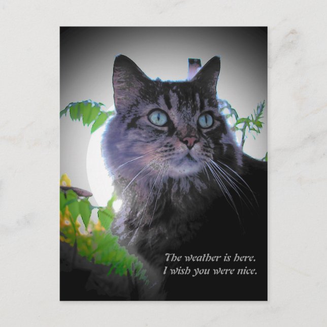 I wish you were nice postcard (Front)