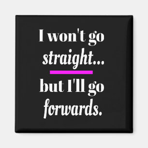 I Won't Go Straight Gay Pride Born This Way Funny Magnet