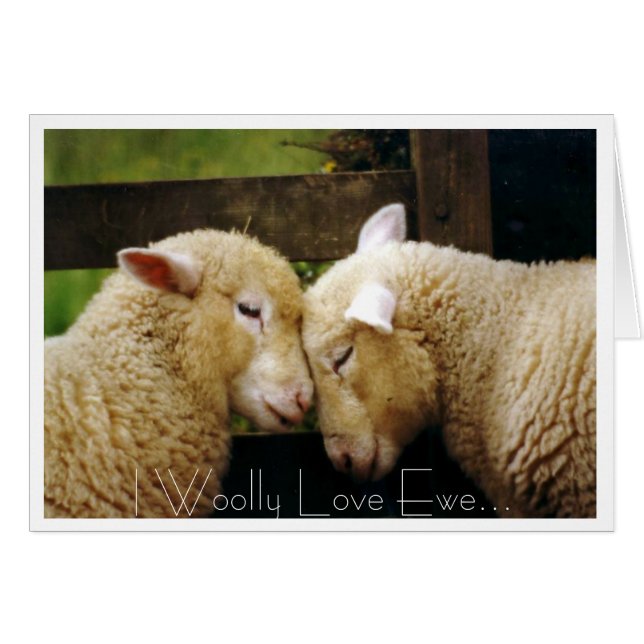 I Woolly Love Ewe (Front Horizontal)