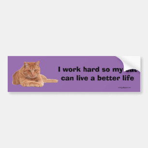 I work hard bumper sticker