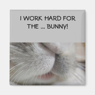 I work hard for the bunny Magnet