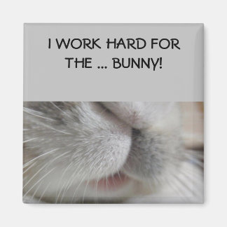 I work hard for the bunny Magnet