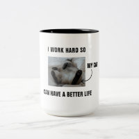 I work hard so my cat can have a better life