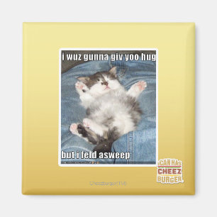 I wuz gunna giv yoo hug magnet