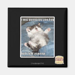 I wuz gunna giv yoo hug magnet