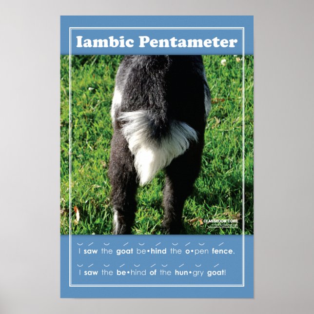 Iambic Pentameter 13" x 19" Classroom Poster (Front)