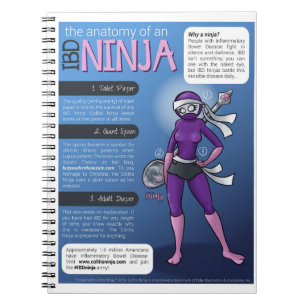 IBD Notebook