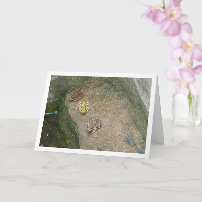 Iberian Frogs Card (Orchid)